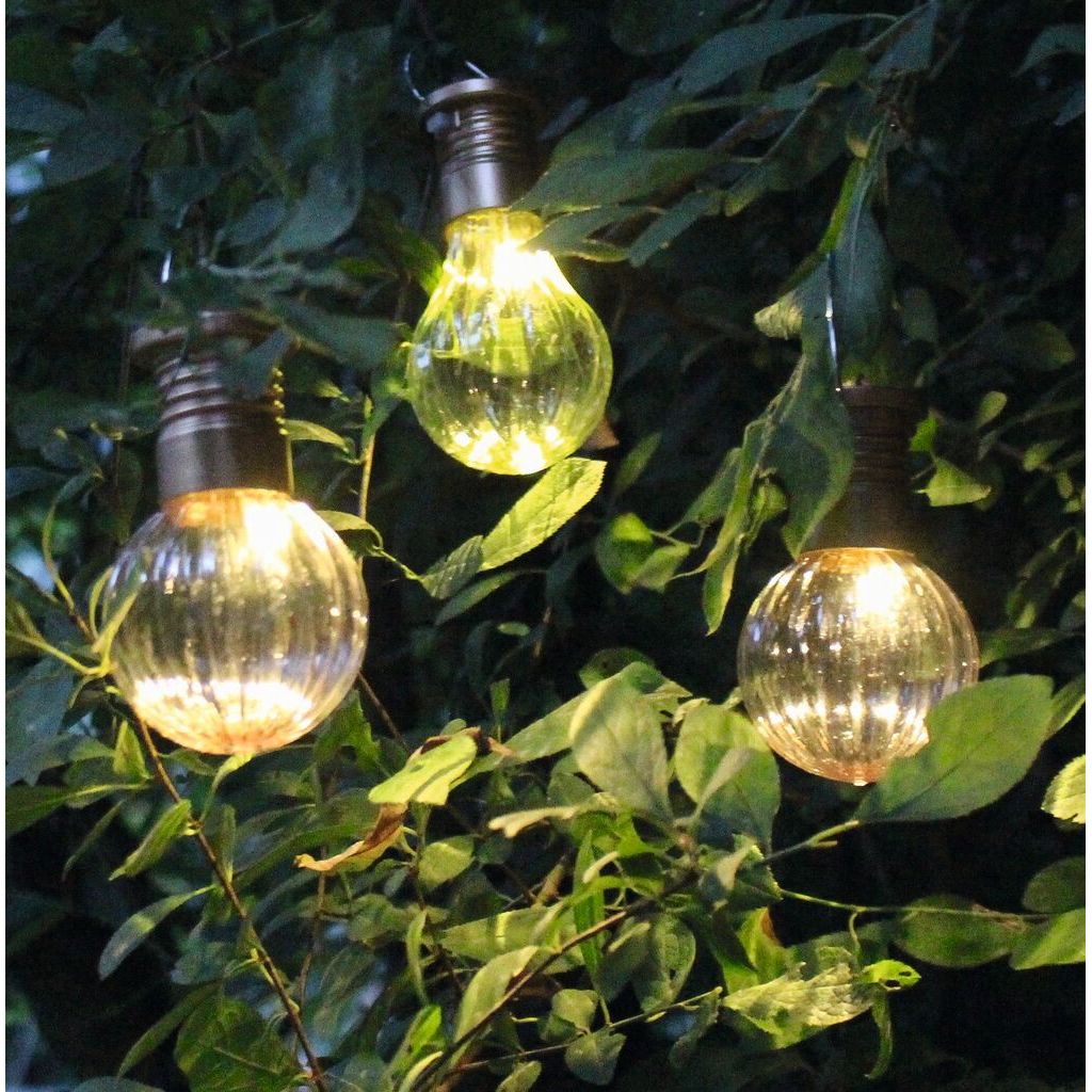 Blatt & Blüte Solar-Lichter 3er Set – Blässhuhn Konstanz