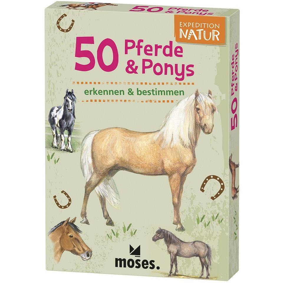 Expedition Natur - 50 Pferde & Ponys Gray Moses