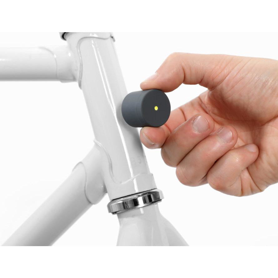 Lucetta Lights – black White Smoke Palomar