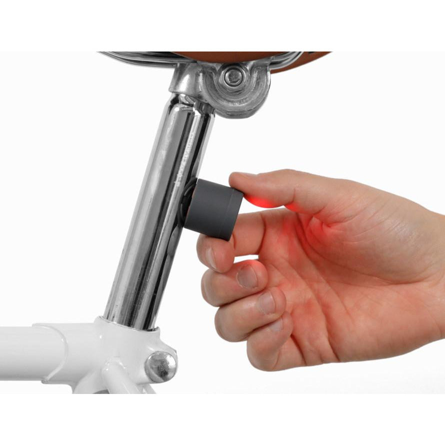 Lucetta Lights – black Snow Palomar