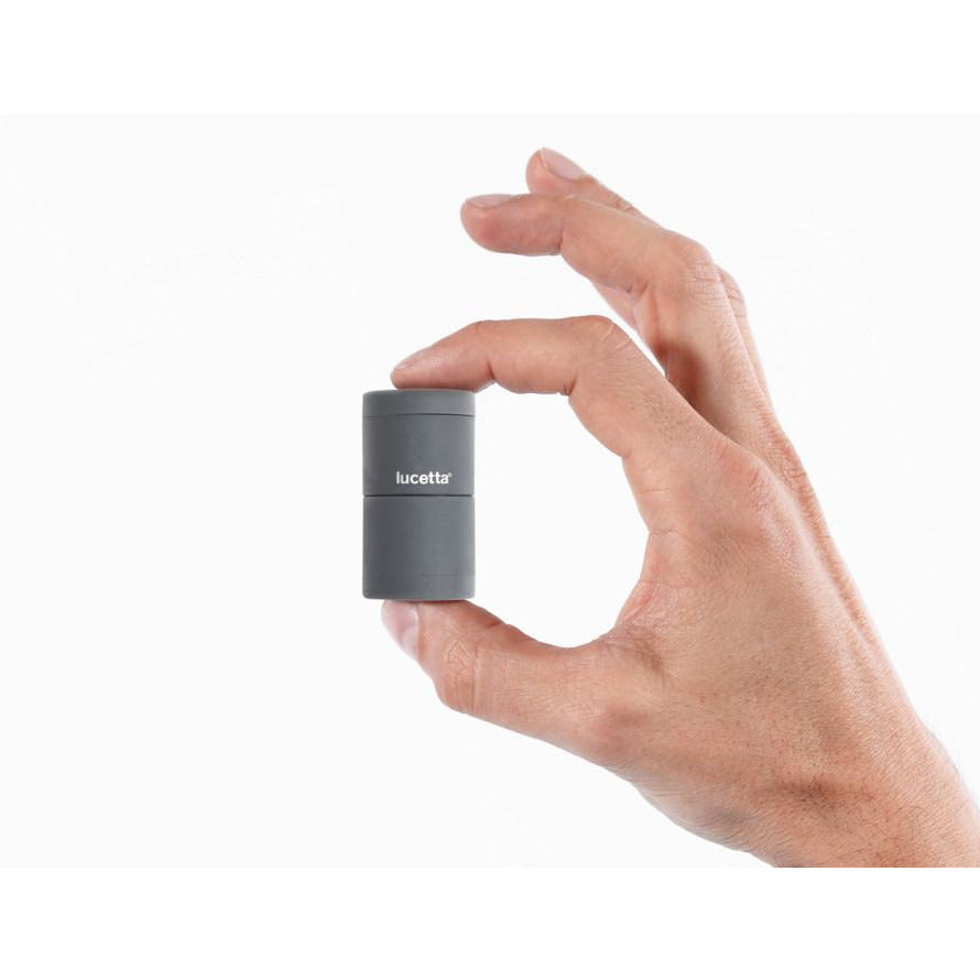 Lucetta Lights – black Snow Palomar