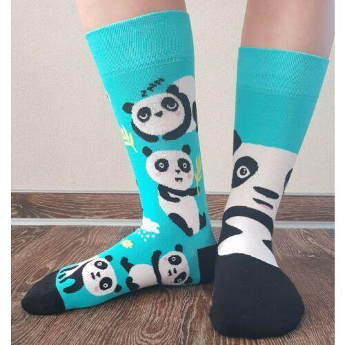 Socken von DEDOLES – Blässhuhn Konstanz