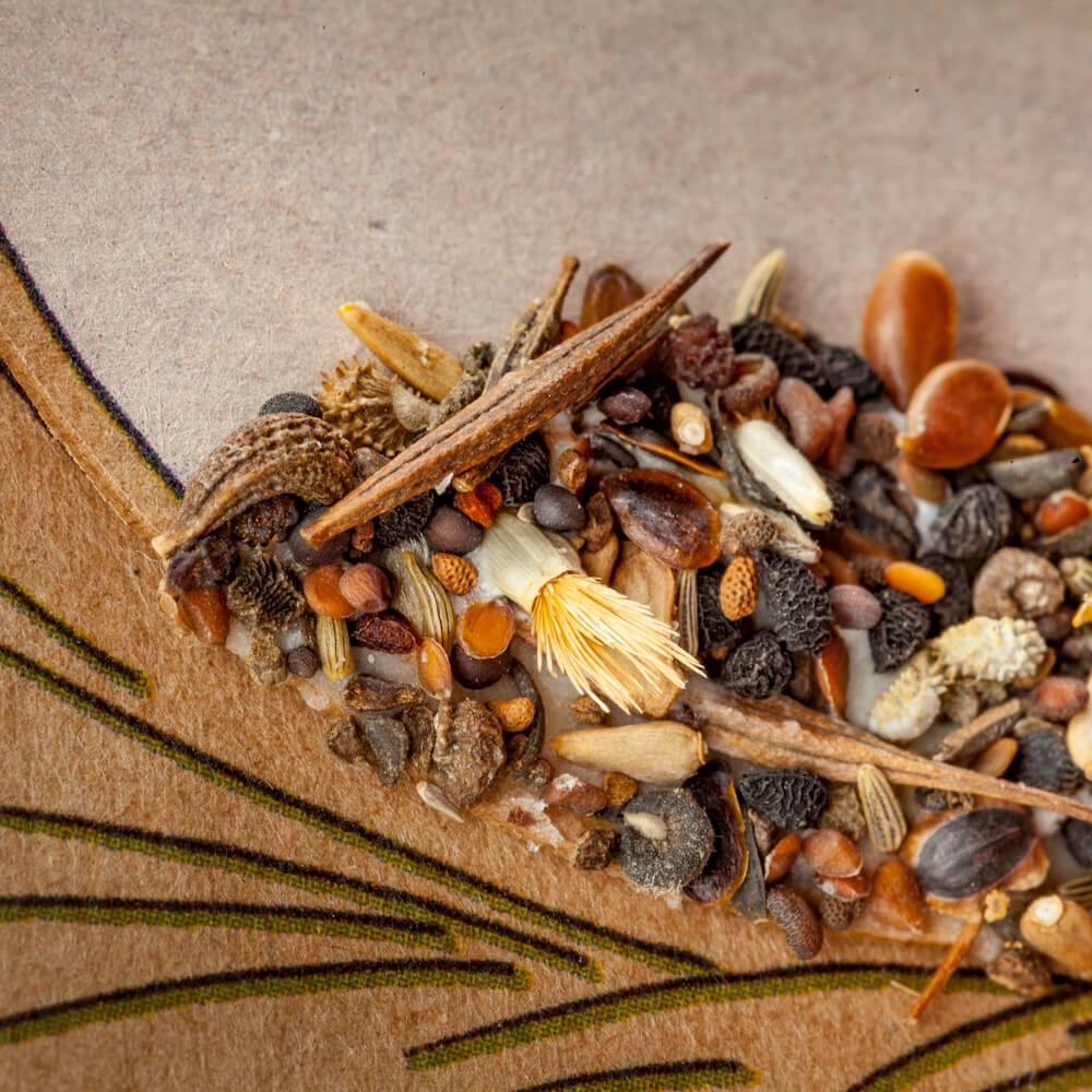 Saatsteckerkarte - Glaub an dich Light Goldenrod Die Stadtgärtner